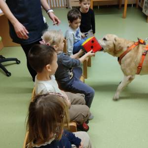 3433dbe53b383d26448b303780644d1c_original