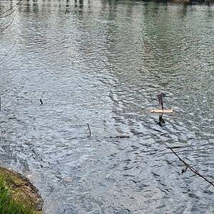 Immagine_Viber_2026-03-12_12-11-22-401_original