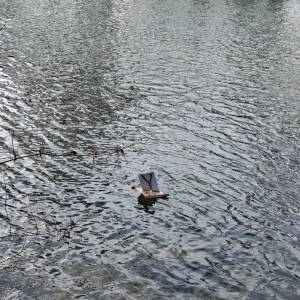 Immagine_Viber_2026-03-12_12-11-22-486_original