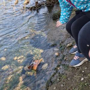 Immagine_Viber_2026-03-12_12-11-23-849_original