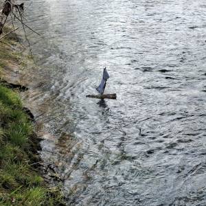 Immagine_Viber_2026-03-12_12-11-24-313_original