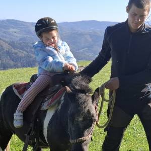 abb68fbd038300e7fb91f04a490500ce_original