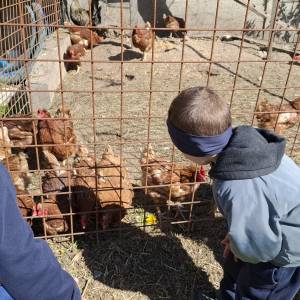 e1611d63e71389204e2d2e743468ecce_original