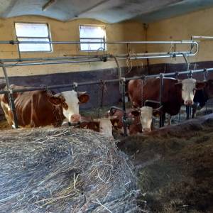 20260408_091237_original