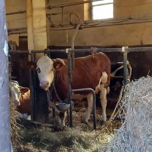 20260408_091346_original