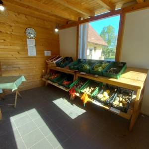 20260408_094338_1_original