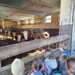 Resized_20260408_092636_original