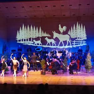 IMG_20260310_093841_original