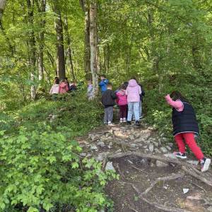 IMG-b7ec769acd8fe894fe3071c3fb66dd9e-V_original_copy_1